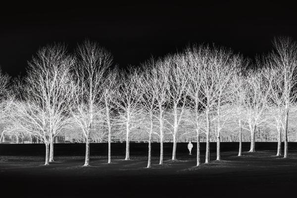 A Winter Walk in Black and White - Keith Bailey