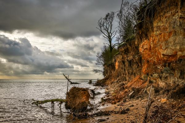 Climate Effect! - Alan James
