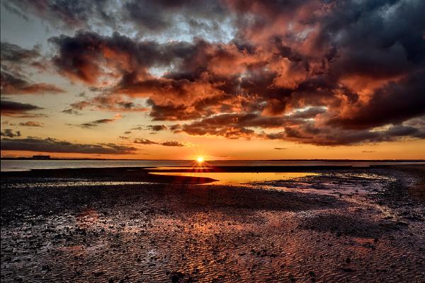 Golden Pool - Chris Aldred