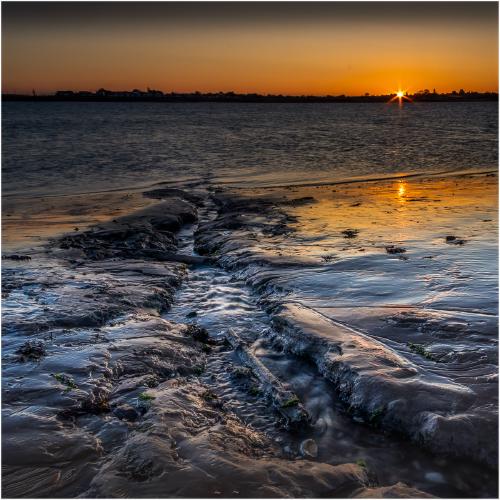 Mersea Mud - Ian Carter
