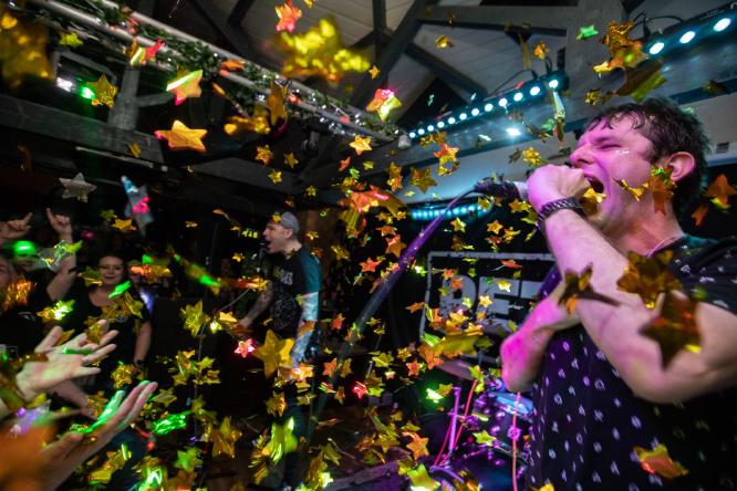 Pet Needs - Three Wise Monkeys - Jonathan Dadds