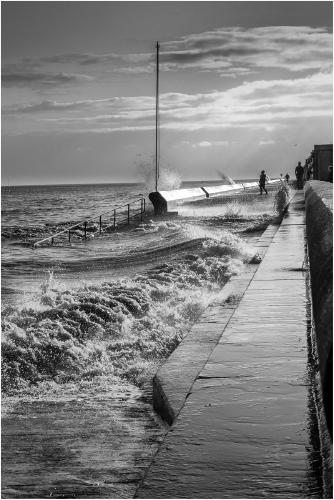 Wild Walton - Ian Carter