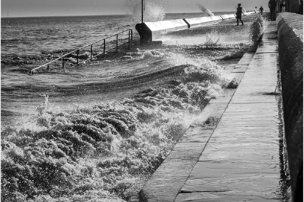 Wild Walton - Ian Carter