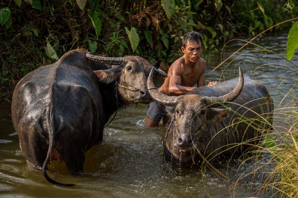 Bath Time - Alan James