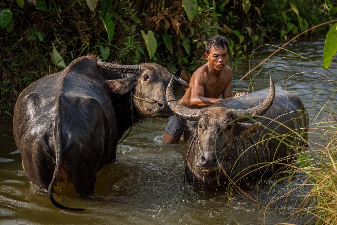 Bath Time - Alan James