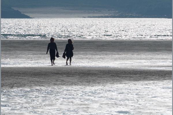 Evening Stroll - David Cross