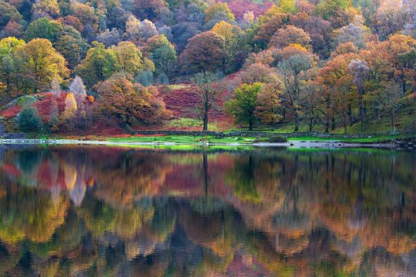 Lake District Autumn Reflections - Peter Freeman
