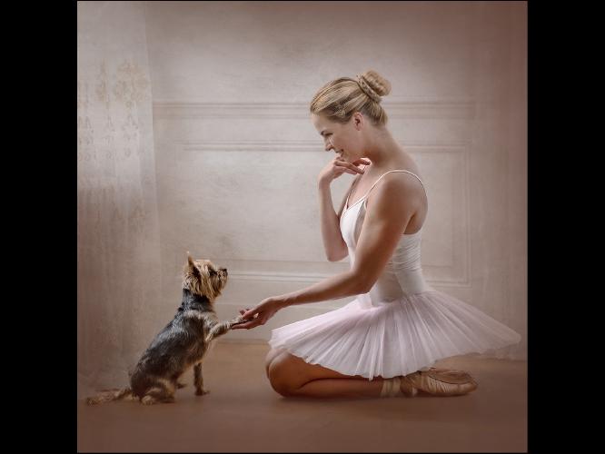 Shall We Dance - Chris Pugh