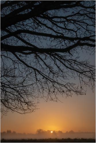 Silhouette - Ian Carter