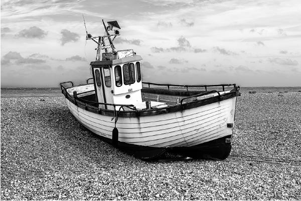 Going Nowhere - David Egerton