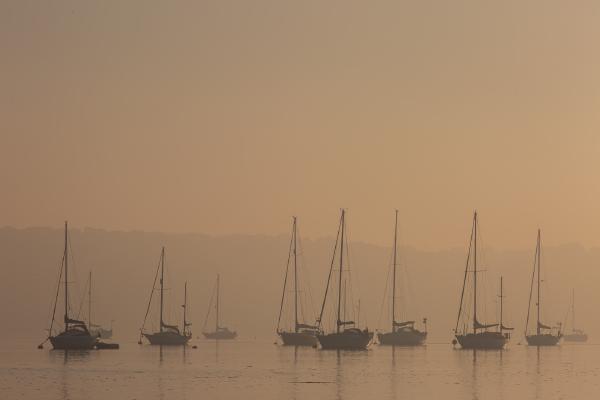 Pin Mill at dawn - Peter Freeman