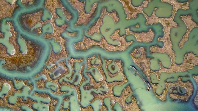 Shipwreck - Shaun Hykel