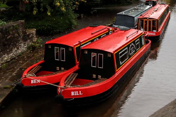 Bill and Ben - Anne Aldred