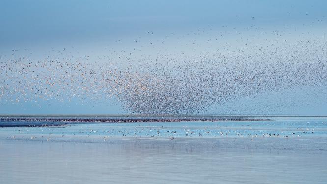 Knotts Rising - Kate Jackson