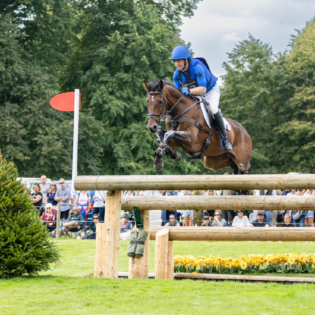 Equestrian Jump - Paul Douglas