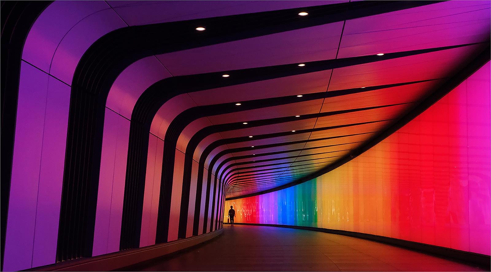 Psychedelic Walk Way - Hilary Knight