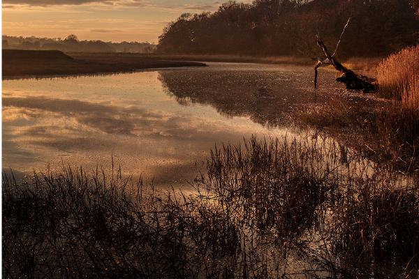 Rowhedge To Fingringhoe - Mark Kench