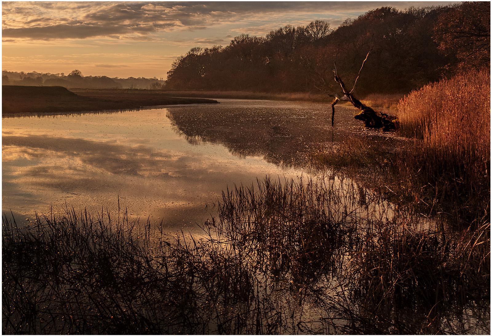 Rowhedge To Fingringhoe - Mark Kench