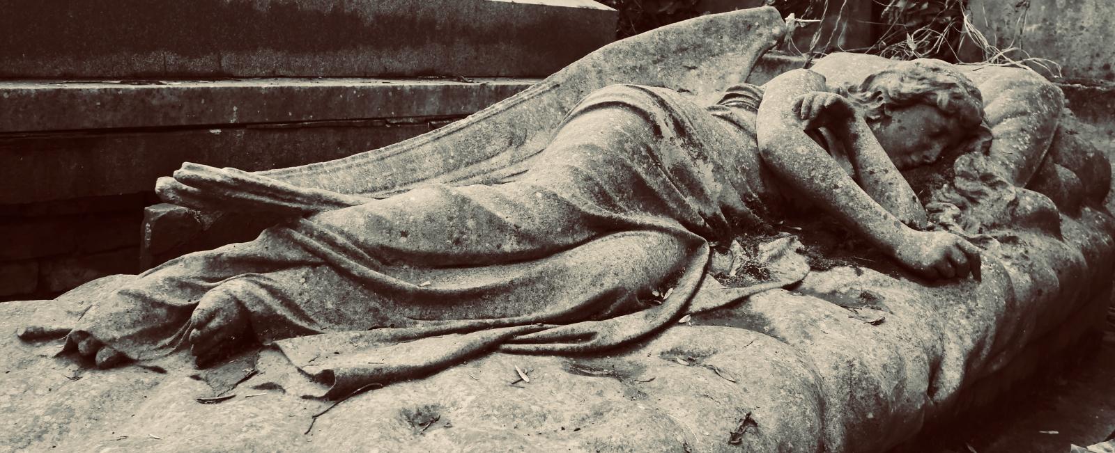 Sleeping in Highgate - Max Fox