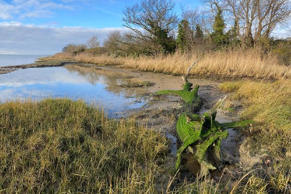 Incoming tide, Stour estuary - Katherine Bailey