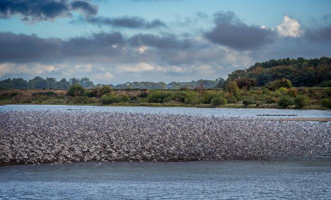 Knotts and Knotts - Kate Jackson