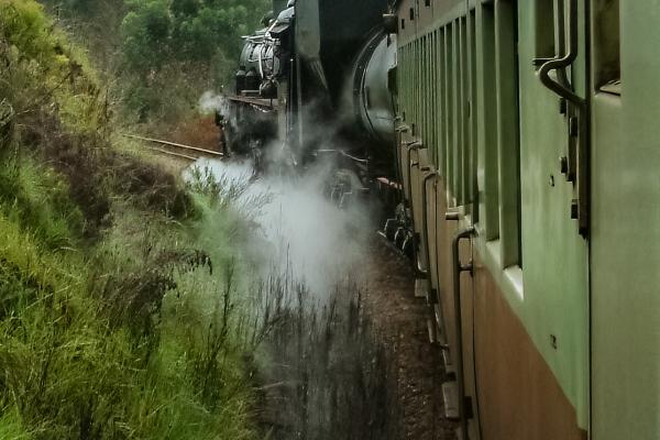 Outeniqua Choo Tjoe - Knysna - David Cross