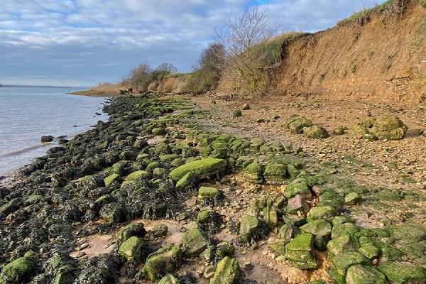 Septaria on the Stour foreshore - Katherine Bailey