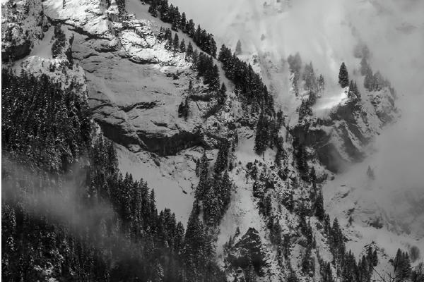 Twin Peaks - Ian Carter
