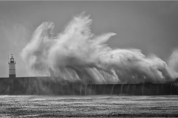 Consuming Waves - Steve Ball