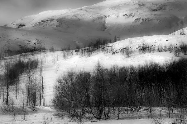 Sweeping light Iceland - Jennifer Brett