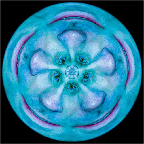 Facial Paradox - Jeff Scott