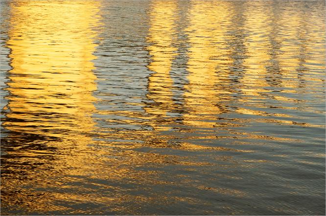 Orwell Reflections - Melvyn Frewin