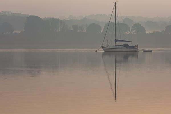Orwell at dawn - Peter Freeman