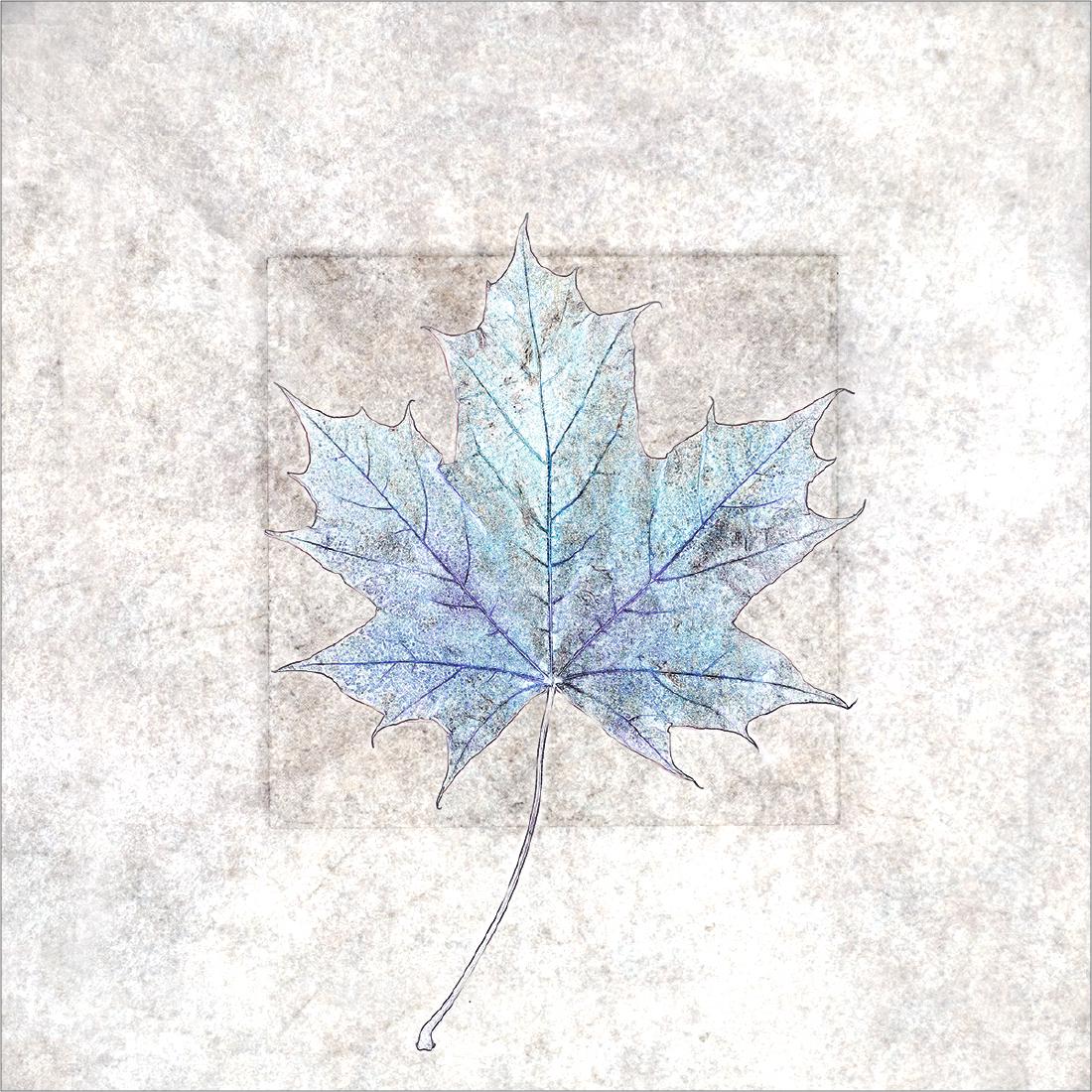 Abstract Maple Leaf - Pat Frewin