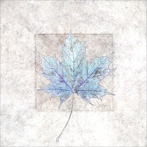 Abstract Maple Leaf - Pat Frewin