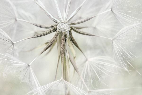 Fairy Clock - Chrissie Hart