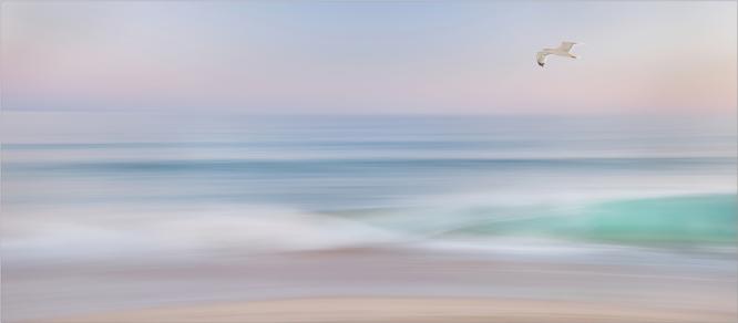 Twilight - Pat Frewin