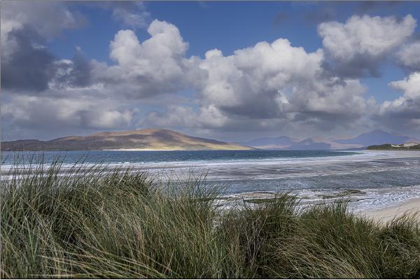 The dunes above Luskentyre - Alison Pangbourne