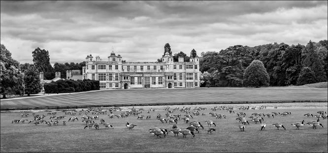 Audley End House - Melvyn Frewin