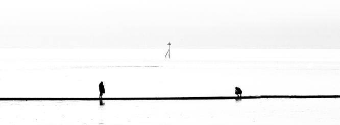 Exploring the Sandbank - Martin Heathcote
