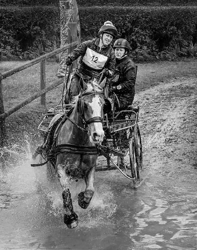 Go 12 Go - Chris Pugh