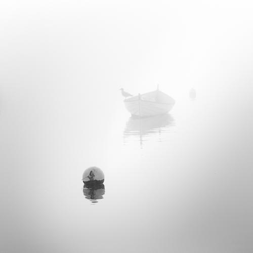 Into the Fog - Martin Heathcote