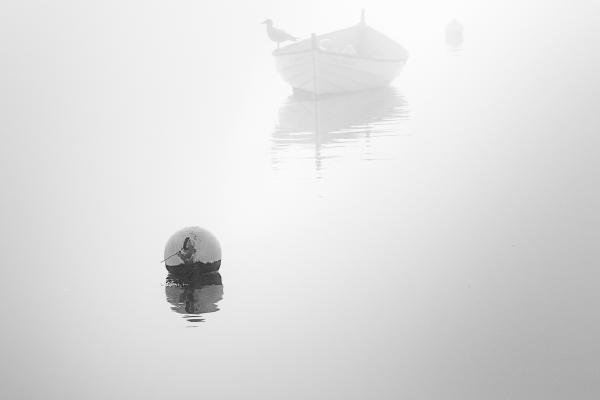 Into the Fog - Martin Heathcote