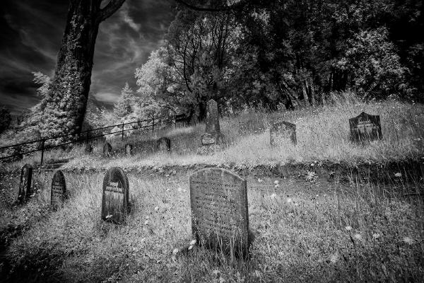 Pet Cemetery - Chris Aldred