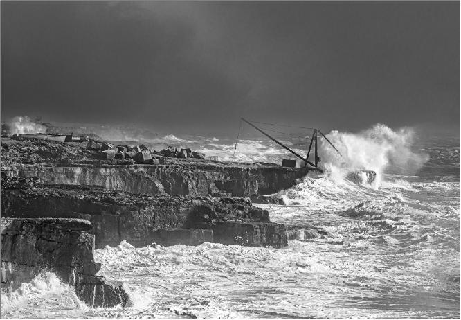 The Crane off Portland - Alison Pangbourne