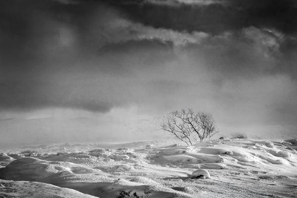 Winter, Rannoch Moor - Colin Westgate