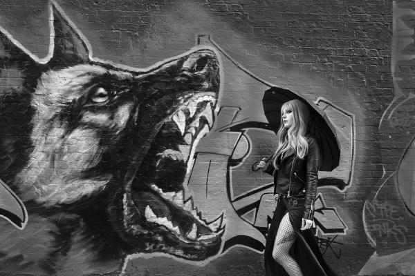 Big bad wolf - Eddie Campbell