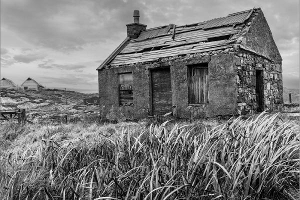 Needs  TLC - Peter Pangbourne