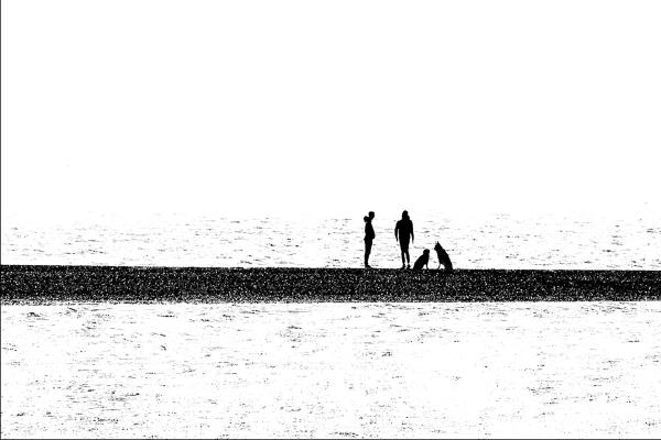 Two Dogs and their Humans on a Sandbank - Martin Heathcote