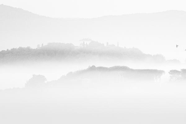 Early Morning Peace - Martin Heathcote